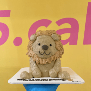 立體蛋糕🦁